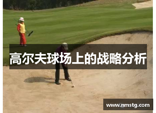 高尔夫球场上的战略分析